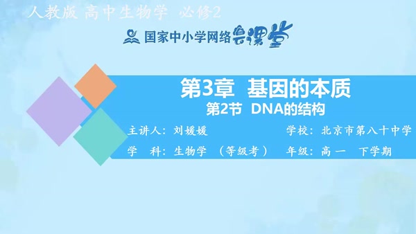 DNA的结构 