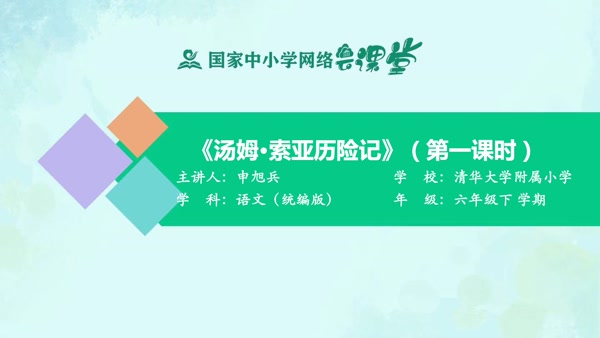 汤姆·索亚历险记（第一课时） 
