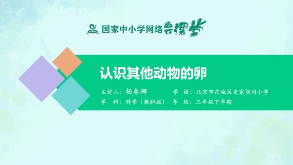 认识其他动物的卵 