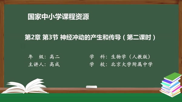 第2章 第3节 神经冲动的产生和传导（第二课时）