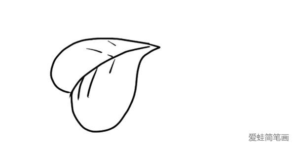 2.接着画心形叶子里面的叶脉。