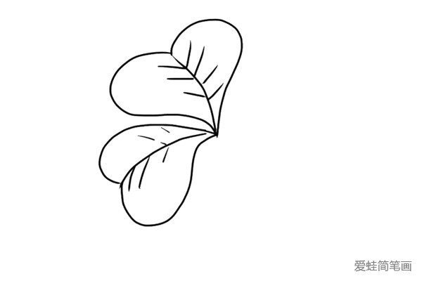 3.按照上面的方法画第二片叶子。