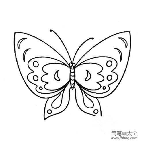 关于蝴蝶的简单简笔画