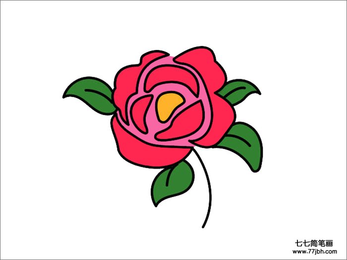茶花简笔画