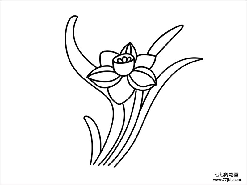 水仙花简笔画