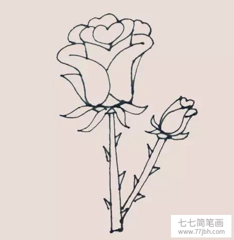 玫瑰花简笔画