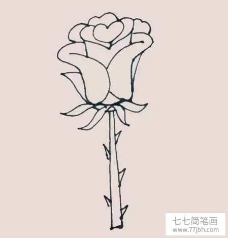 玫瑰花简笔画