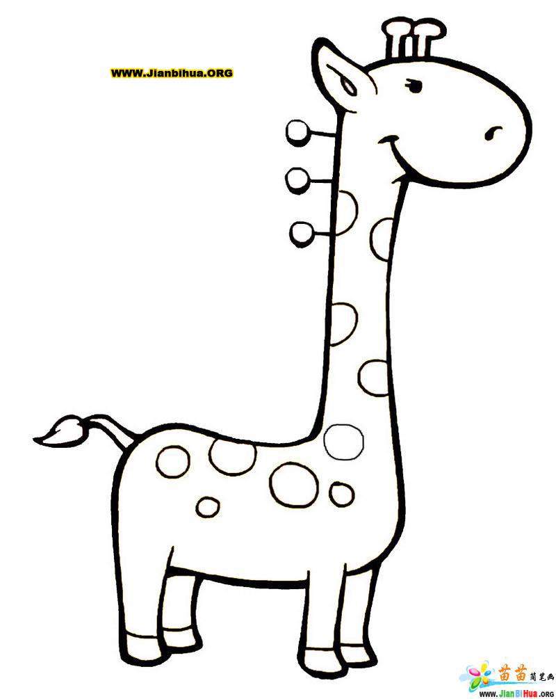 卡通简笔画图片——长颈鹿10张(第2张)