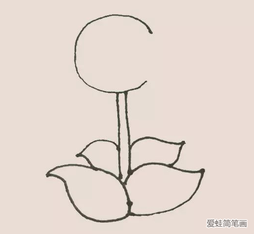 豌豆射手简笔画