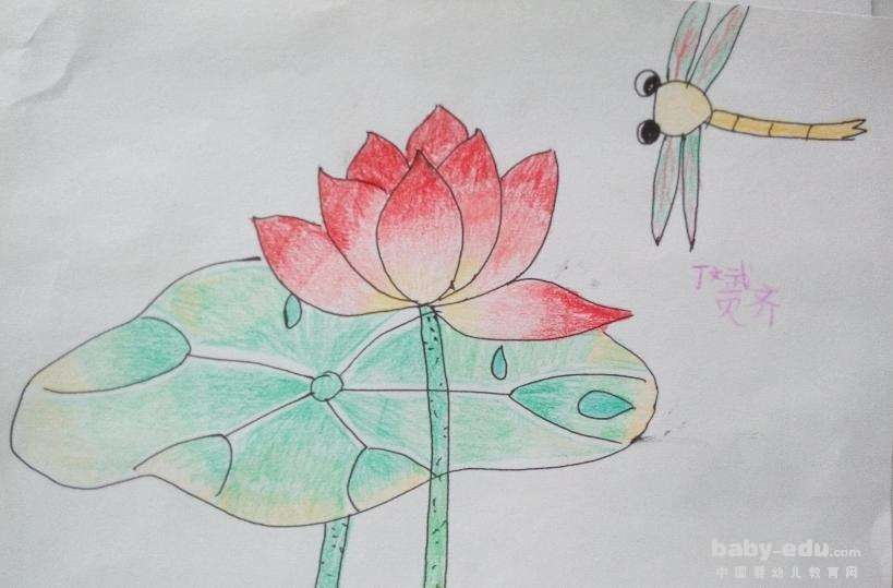 小学生蜡笔画作品-蜻蜓和荷花