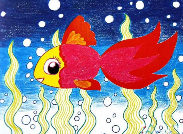 可爱的金鱼儿童画  - 金鱼怎么画简单又好看