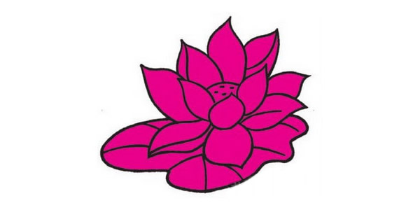 荷花简笔画图片