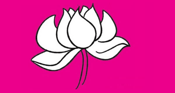 荷花简笔画图片大全作品五
