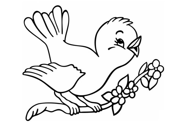 树枝上的小鸟简笔画