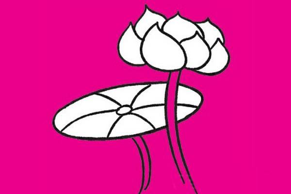 荷花简笔画图片大全作品三