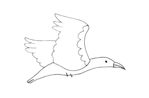 鸬鹚简笔画图片