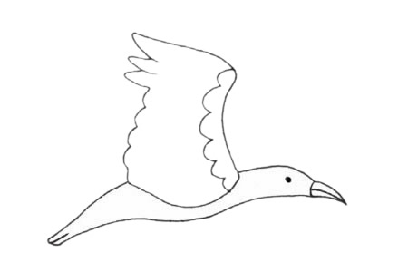 鸬鹚简笔画图片