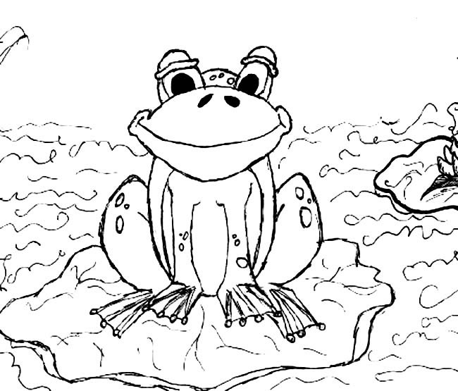 荷花青蛙池塘简笔画