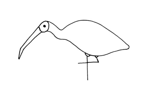 朱�简笔画图片