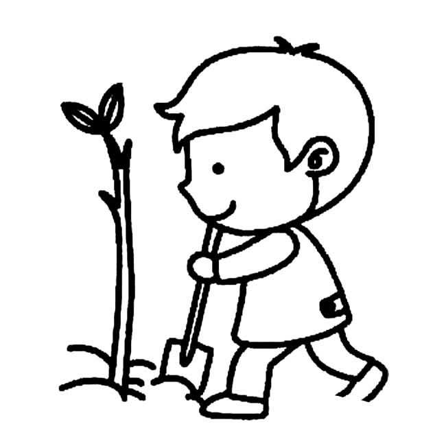 种树的小朋友简笔画图片