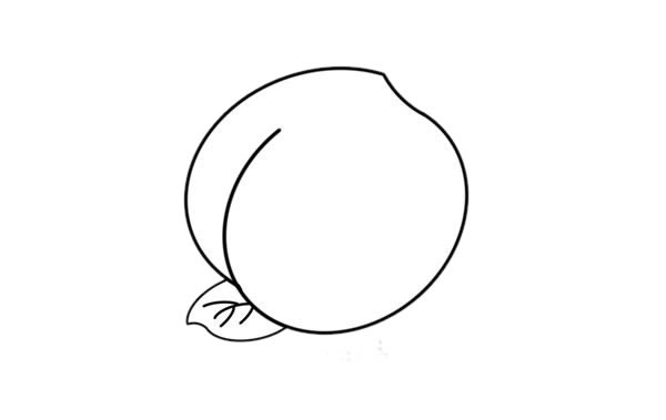 彩色水蜜桃简笔画画法图片