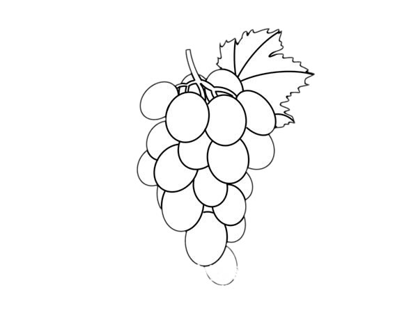一串葡萄简笔画彩色画法 一串葡萄简笔画步骤图解教程