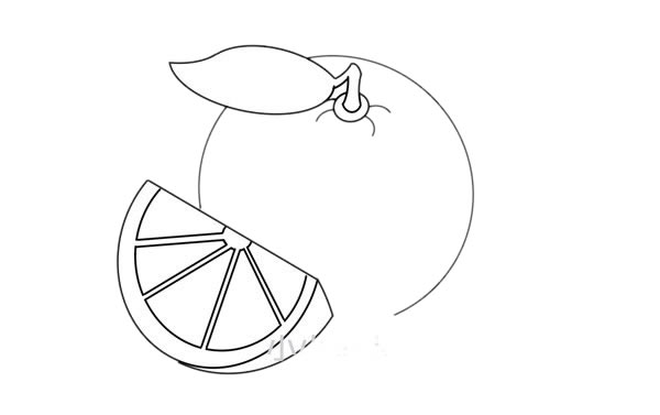 橙子怎么画简单又好看图片 橙子简笔画步骤图解教程