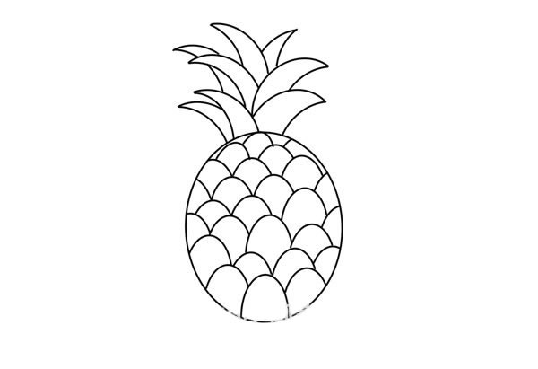 菠萝简笔画画法图片