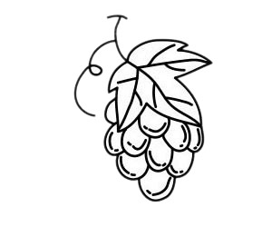 葡萄简笔画图片