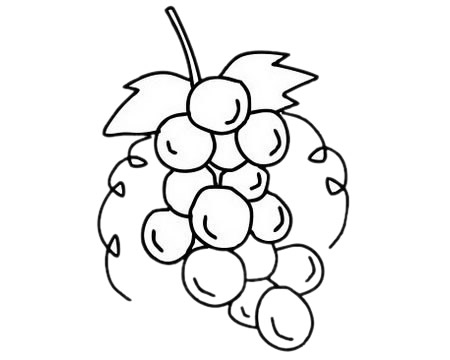葡萄简笔画图片
