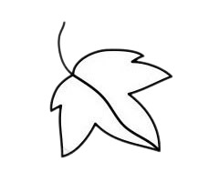 葡萄简笔画图片