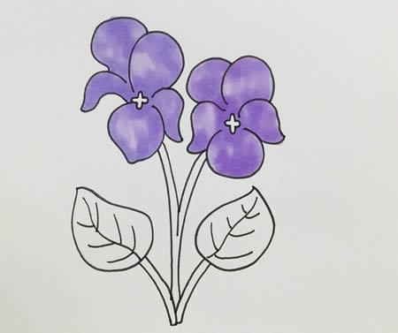 紫罗兰怎么画简笔画简单又好看