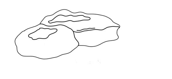密环菌简笔画画法步骤图片