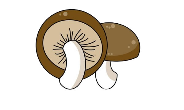 蘑菇简笔画画法步骤图片