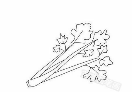 蔬菜简笔画图片大全简单又漂亮-蔬菜简笔画