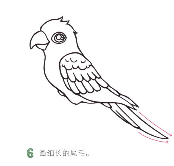 鹦鹉简笔画彩色图片大全