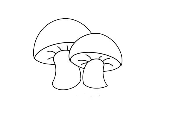 彩色蘑菇简笔画画法步骤图片