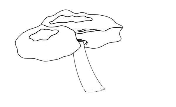 密环菌简笔画画法步骤图片
