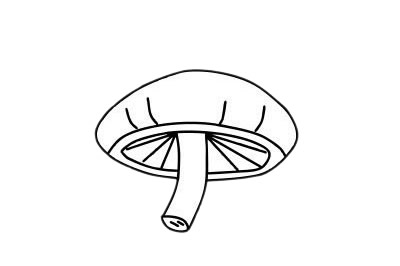 蘑菇简笔画图片