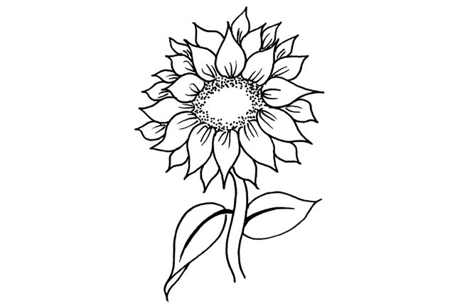 向日葵简笔画
