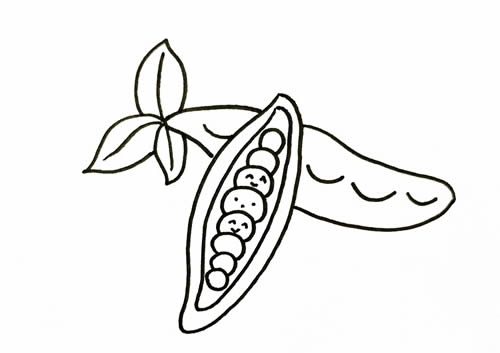 QQ红包豌豆怎么画_qq红包豌豆画法简笔画图片