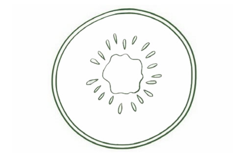 猕猴桃简笔画图片