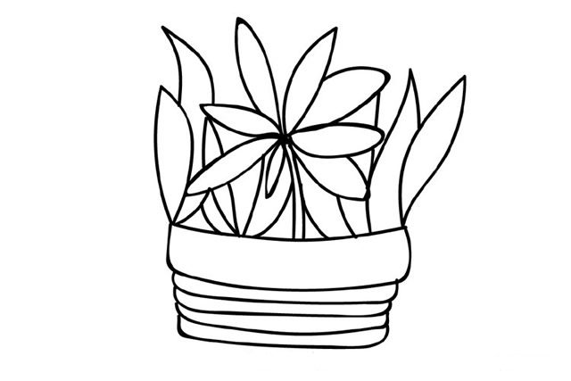 手绘盆栽植物简笔画图片