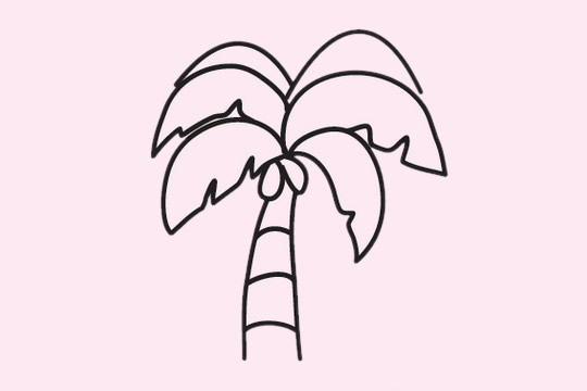 椰树简笔画图片