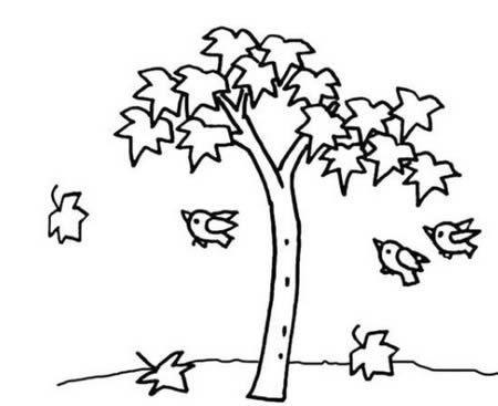 秋天大树怎么画简笔画图片