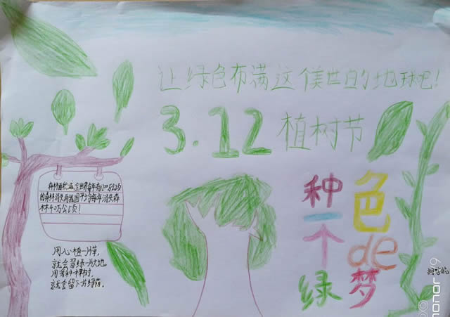 2020植树节手抄报大全，让绿色不慢这个美丽的地球！