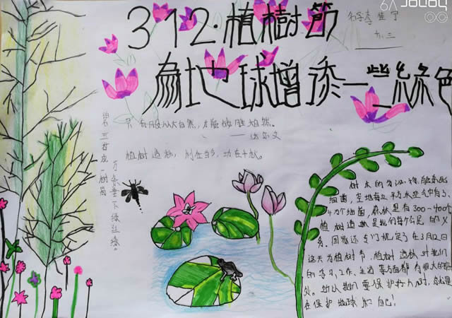 2020植树节手抄报大全，让绿色不慢这个美丽的地球！
