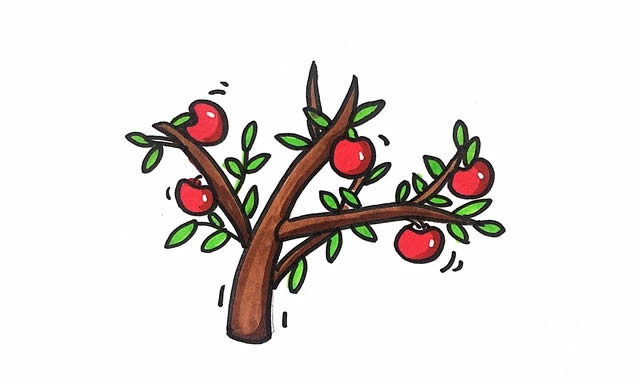 苹果树简笔画彩色画法步骤图片