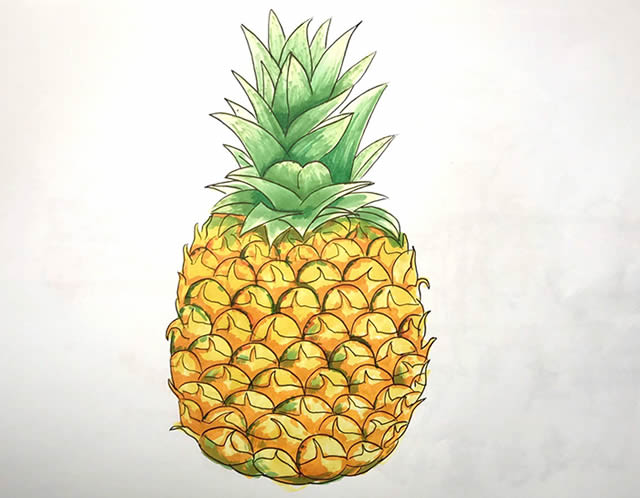 菠萝简笔画画法步骤图片