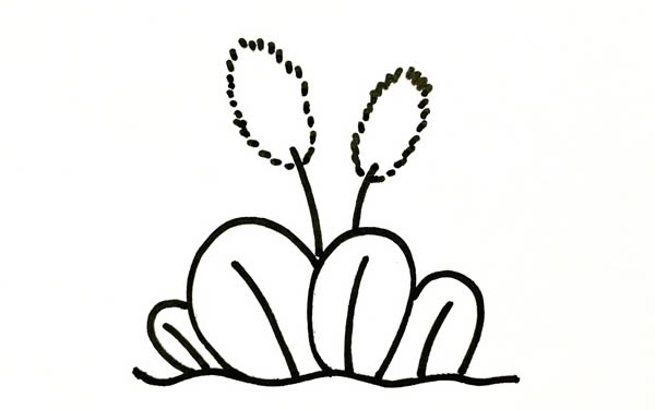 狗尾巴草简笔画步骤画法图片